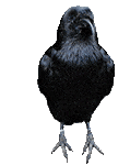 Gif animé gothique corbeau